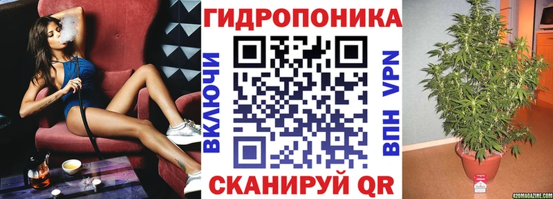 Все наркотики Белгород ГАШИШ  Псилоцибиновые грибы  Alpha-PVP  Мефедрон  omg как войти  COCAIN  Бошки Шишки  Амфетамин 
